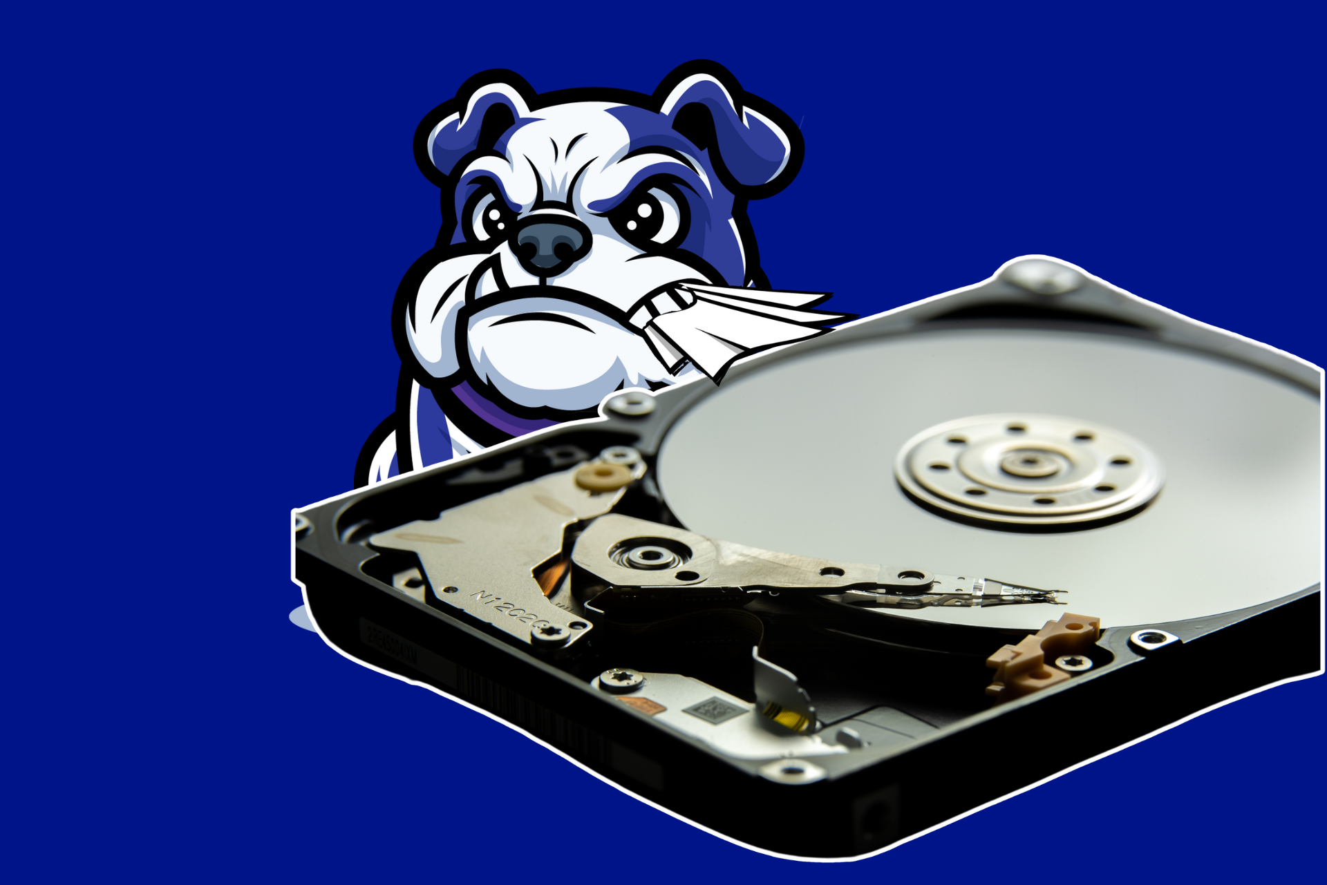 A blue bulldog mascot biting a hard drive on a blue background.