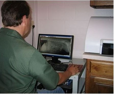 Diagnostic Radiology & Ultrasound – Stephenville, TX – Ark Veterinary Hospital