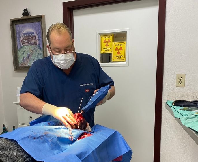 Small & Large Animal Surgery – Stephenville, TX – Ark Veterinary Hospital