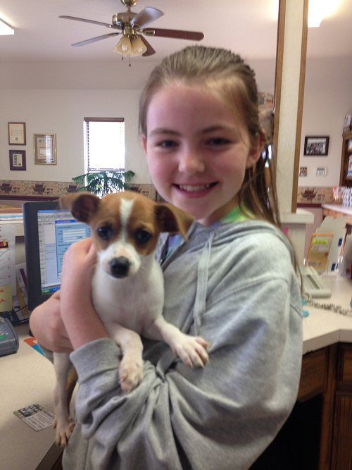 A Happy Child Carrying Her Dog – Stephenville, TX – Ark Veterinary Hospital