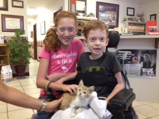 Two Children Holding A Cat – Stephenville, TX – Ark Veterinary Hospital
