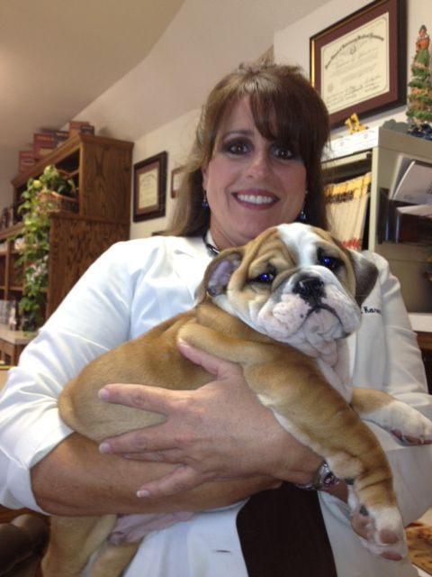 A Woman In White Sleeves Carrying A Brown Dog – Stephenville, TX – Ark Veterinary Hospital