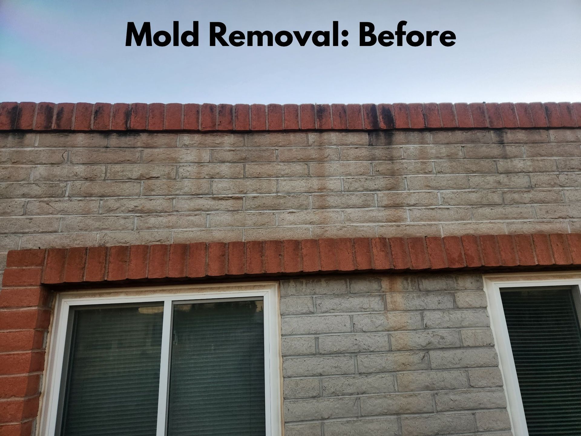 Mold Removal Before — Tucson, AZ — MJ's Pressure Washing