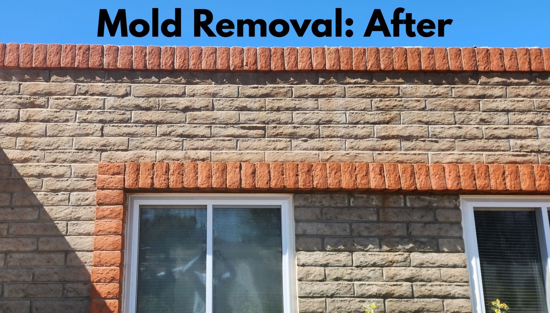 Mold Removal After — Tucson, AZ — MJ's Pressure Washing