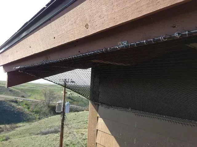 A black net is installed under a house eave, preventing birds from nesting. 