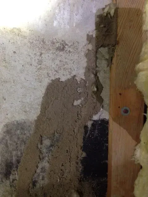 Close-up of a termite-damaged wooden beam against a textured wall. 