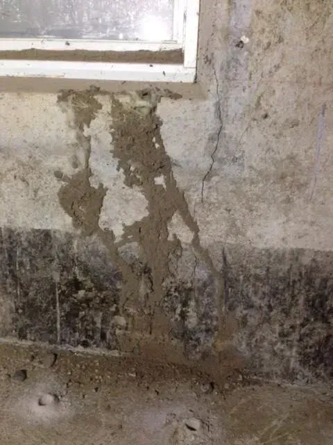 Close-up of an interior wall with severe termite damage.