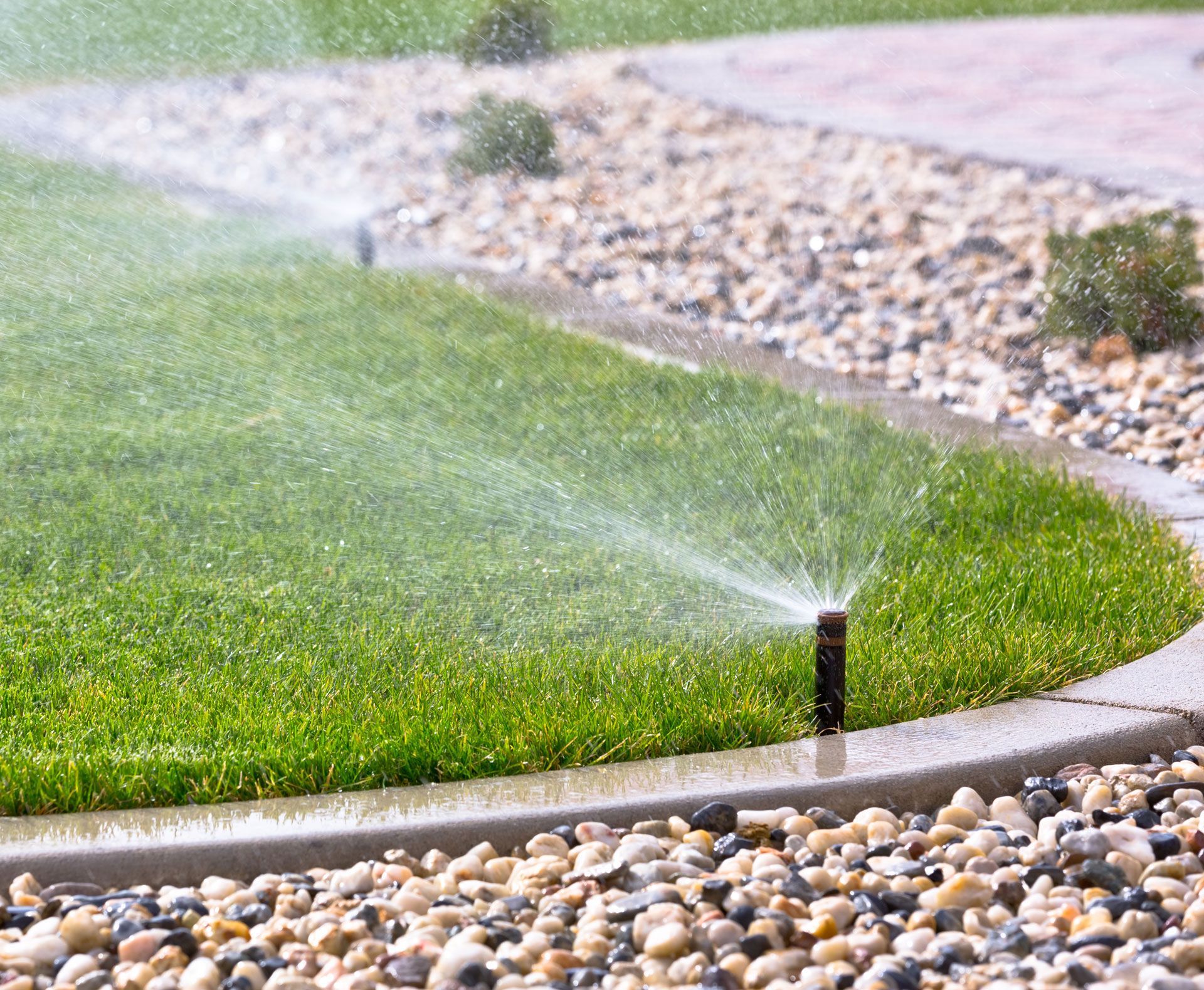 Sprinkler watering a green lawn beside a pebble landscape bed.