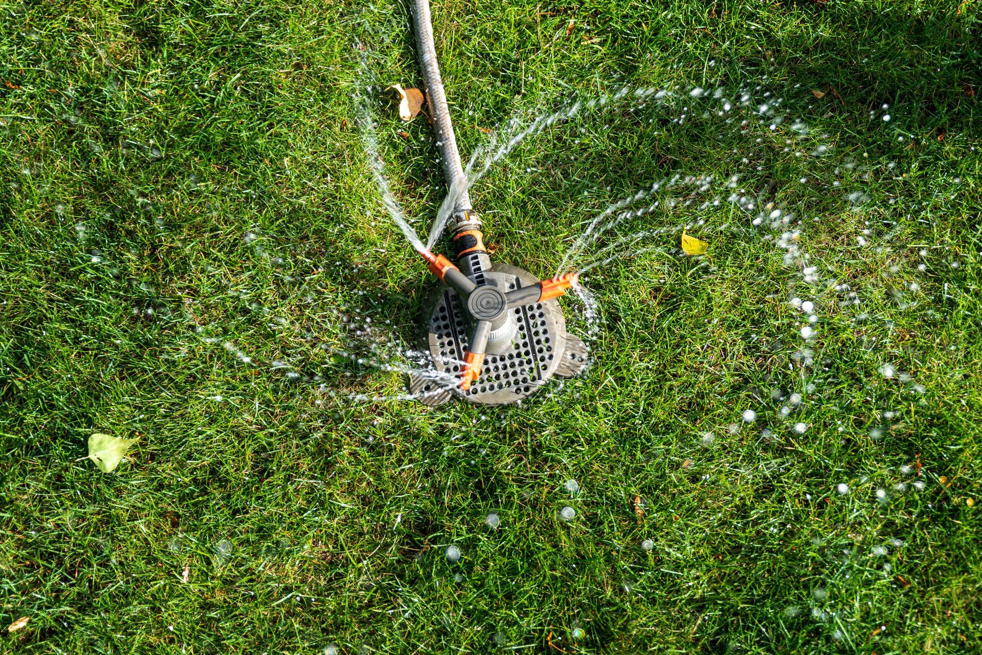 Sprinkler watering a lush green lawn, with water spraying in a circular pattern
