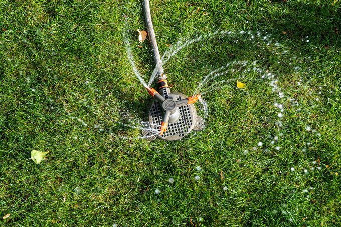 Sprinkler watering a green lawn beside a pebble landscape bed.