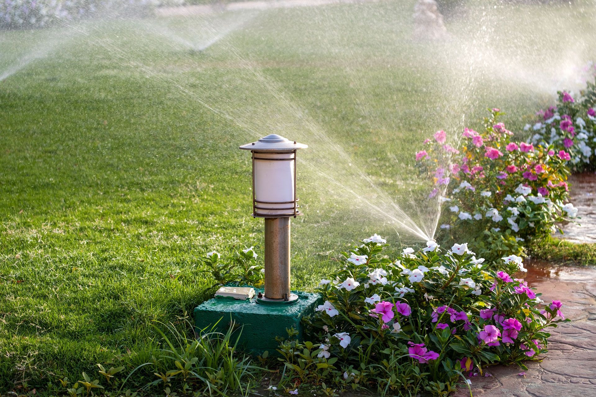 Lawn sprinkler watering green grass beside pink and purple flowers in a garden