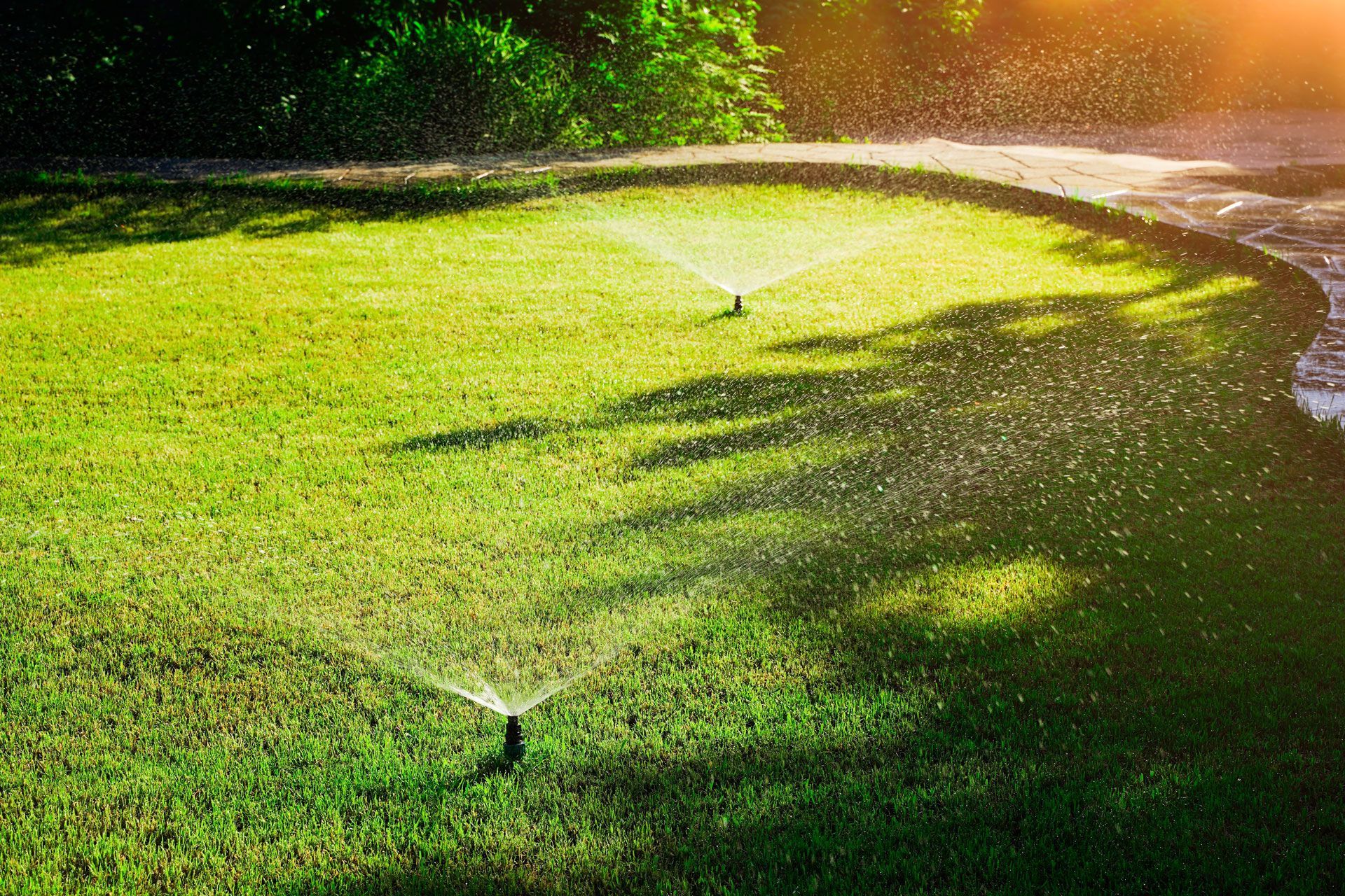 Sprinklers watering a green lawn in bright sunlight, with a curved path in the background