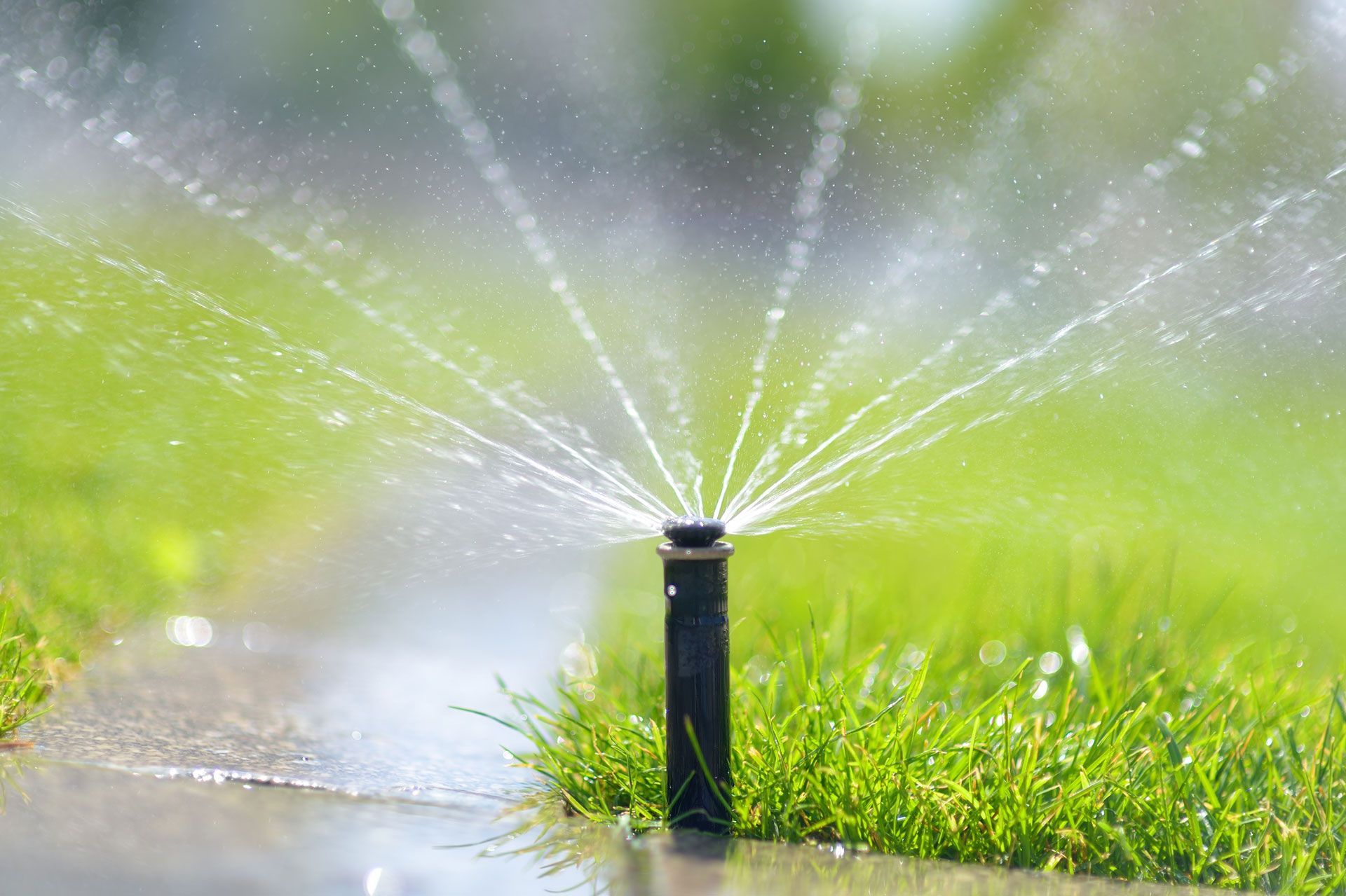 Sprinkler watering a green lawn beside a sidewalk in bright sunlight