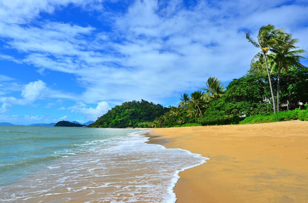 A Tropical Beach With Palm Trees and a Blue Sky on a Sunny Day — FNQ Locksmiths In Trinity Beach, QLD