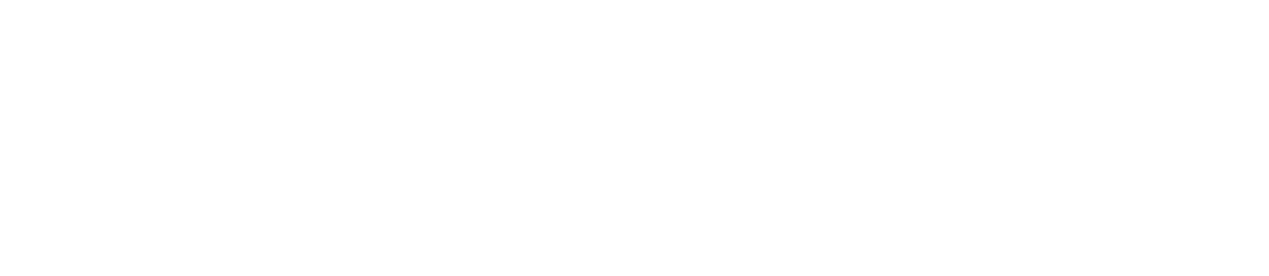 Thin horizontal black line on a white background, centered near the top.