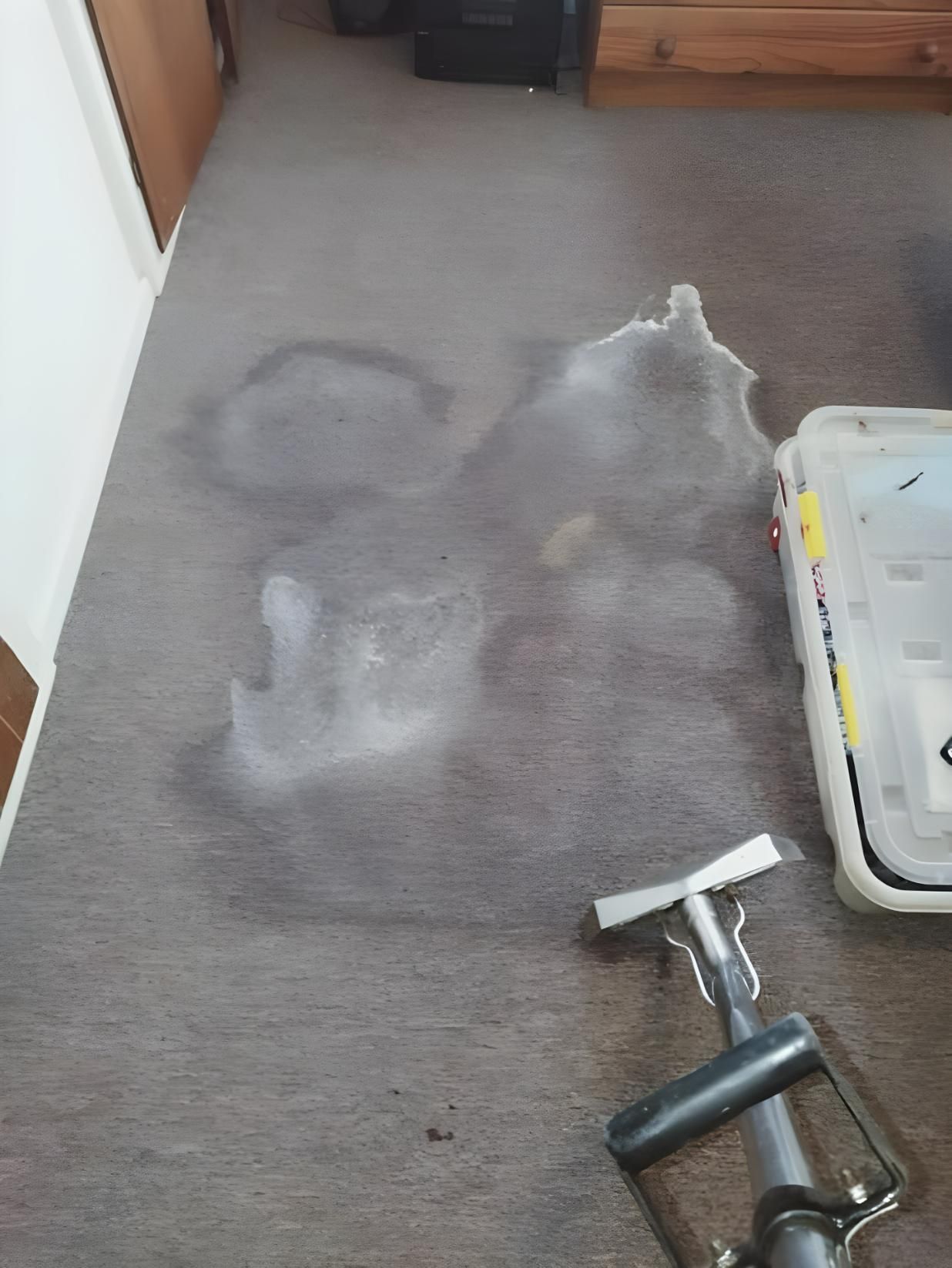 A Vacuum Cleaner is Sitting on a Carpet Next to a Box — Handyman Bundaberg In Burnett Heads, QLD