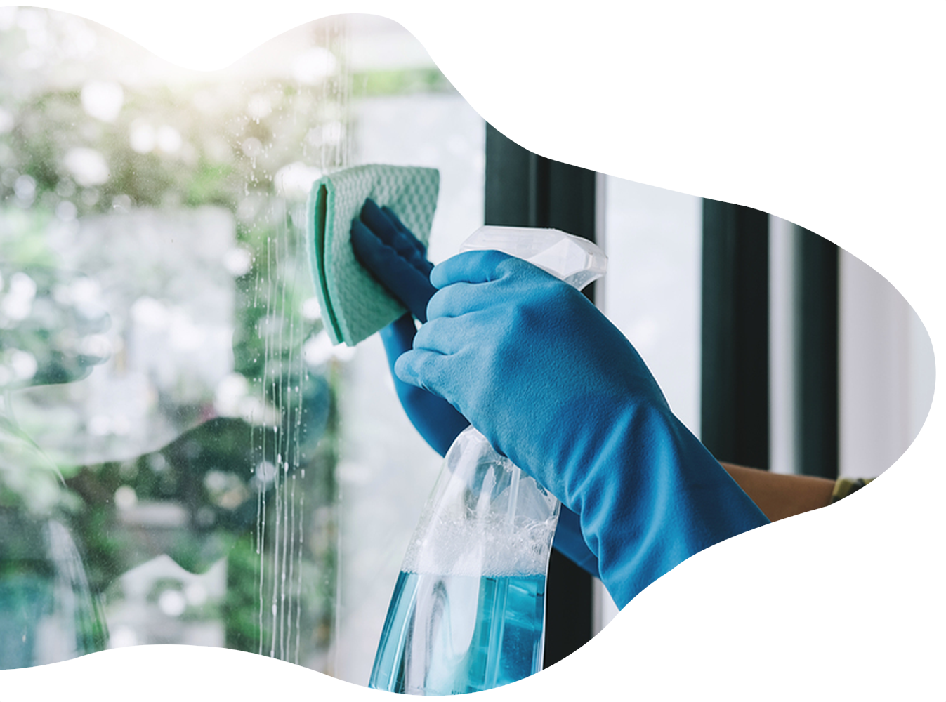 Window cleaning services for a Regina resident