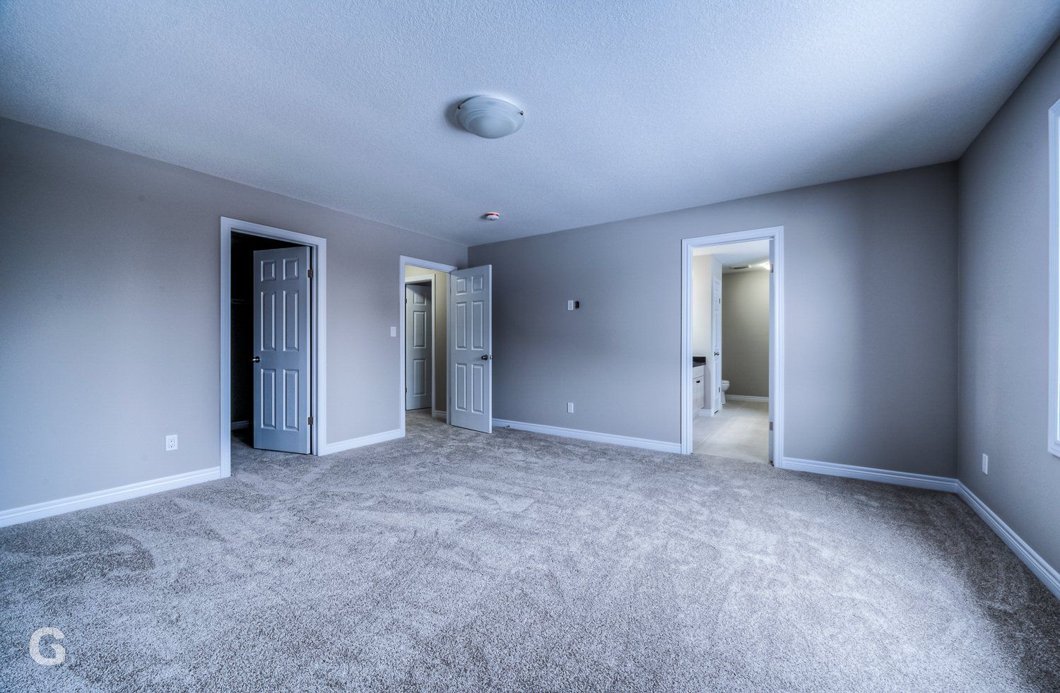 An empty bedroom with a carpeted floor and gray walls.