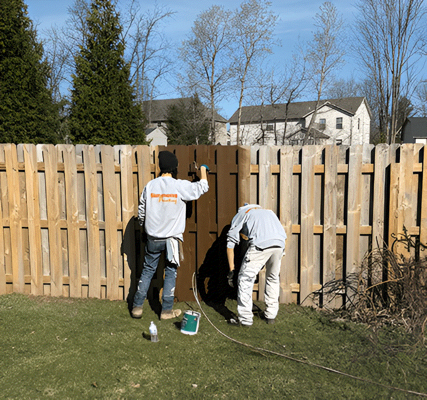 Two people painting a wooden fence brown outdoors on a sunny day.