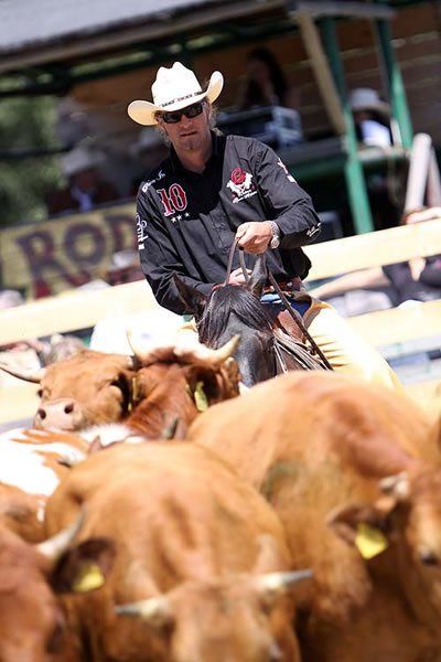 Westernreiten Cutting