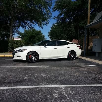 white wrap with black tent 