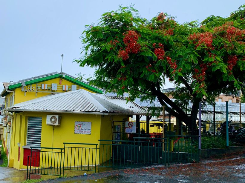 Ecole primaire Les Flamboyants Mayotte