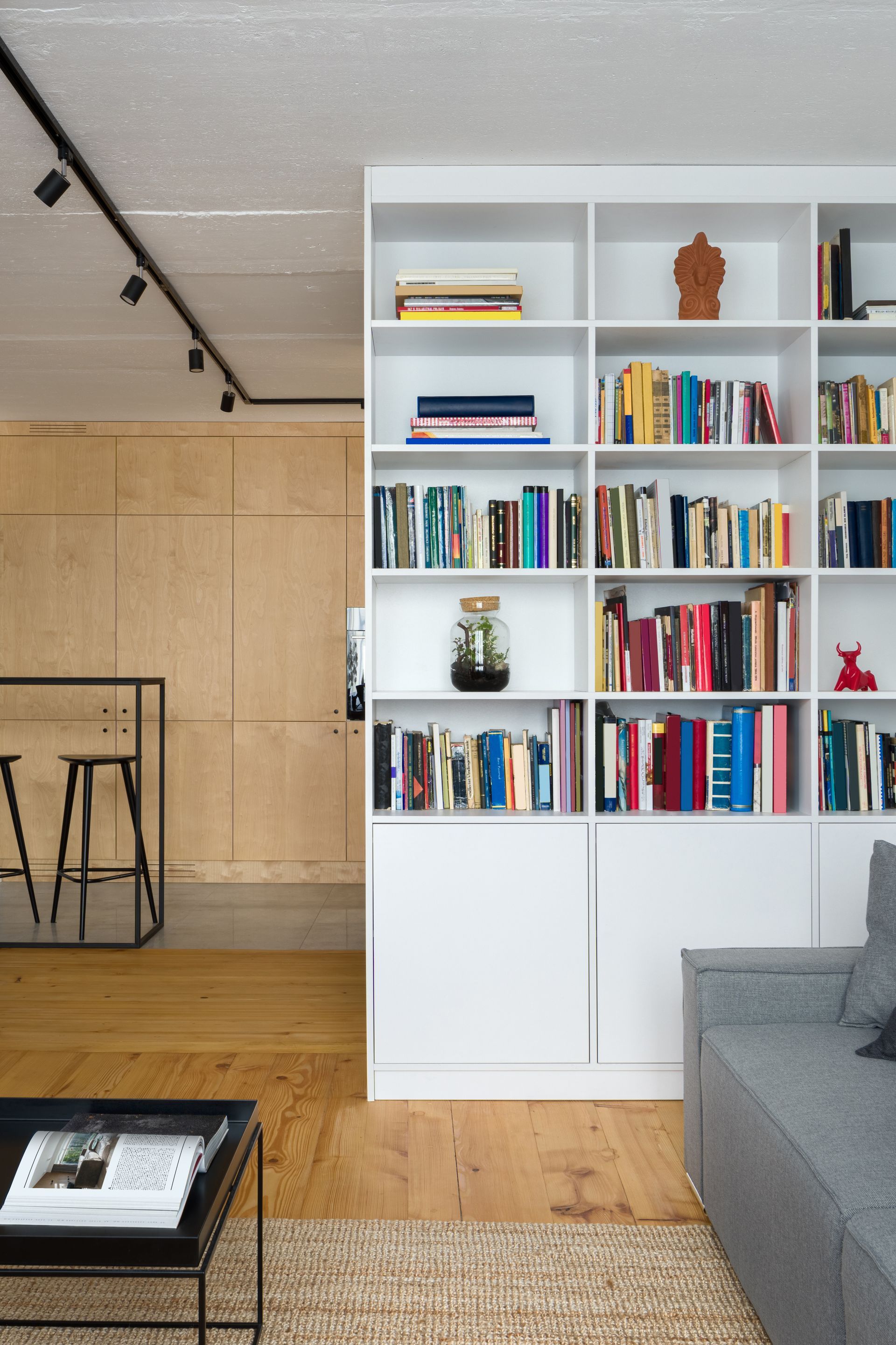 White bookshelf filled with books, a gray sofa, and light wood flooring. Black track lighting.