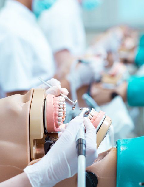 a dentist is working on a model of a person 's teeth .