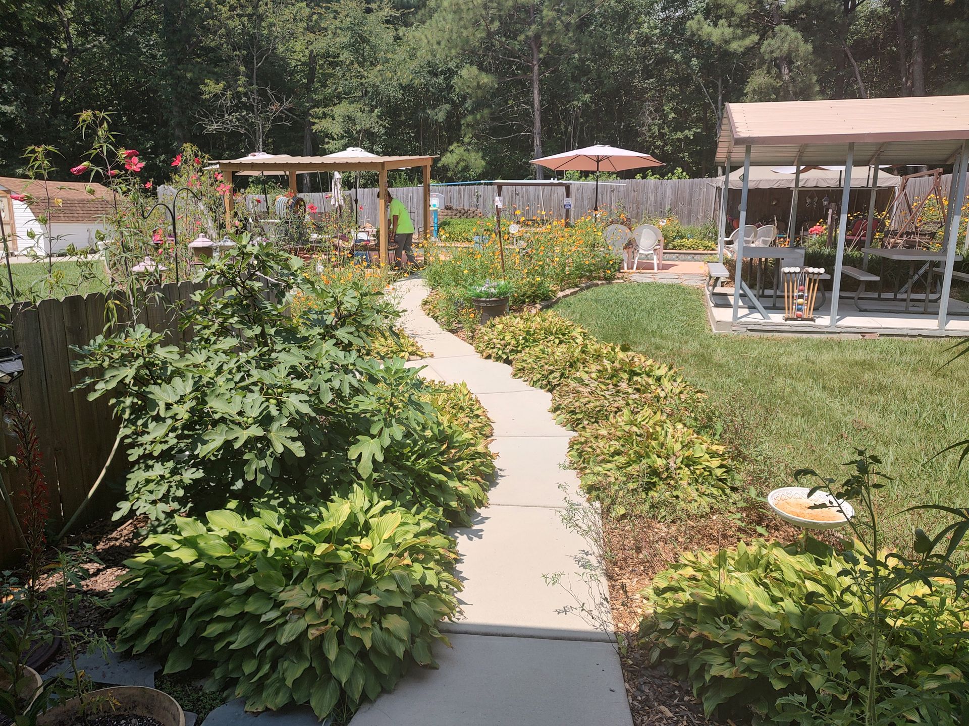Garden pathway to pool area