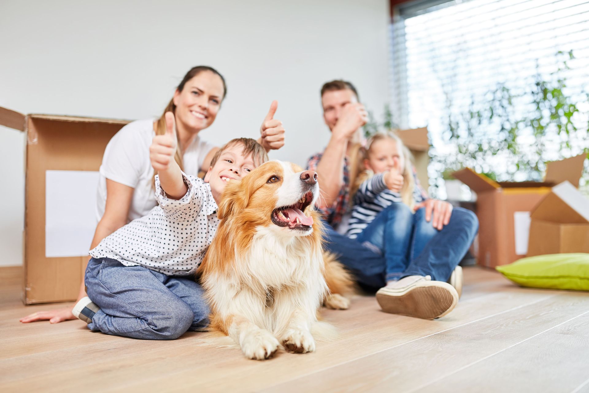 Relocation Consultant - Was bringt der Beruf mit sich?