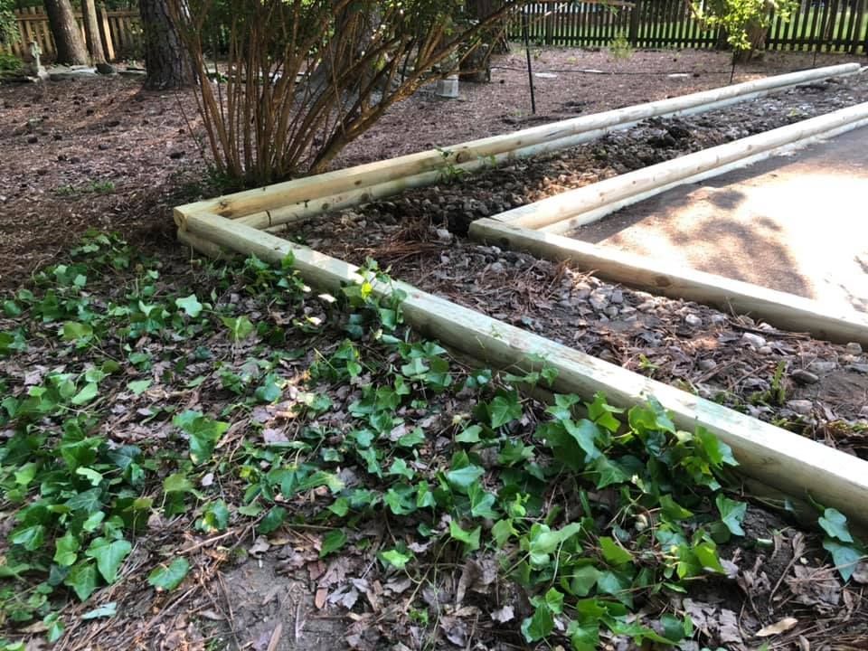 A wooden fence is surrounded by ivy growing on the ground.