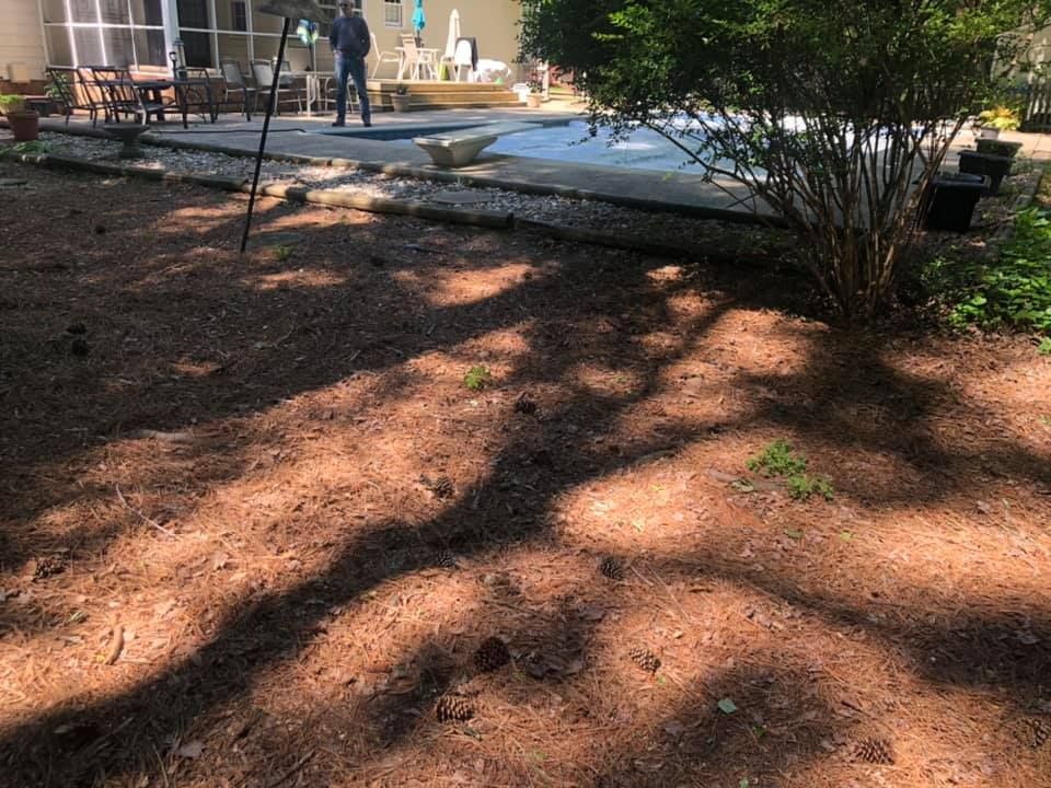 A man is standing in a backyard next to a pool.