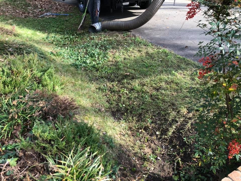A person is using a vacuum cleaner to clean the grass.