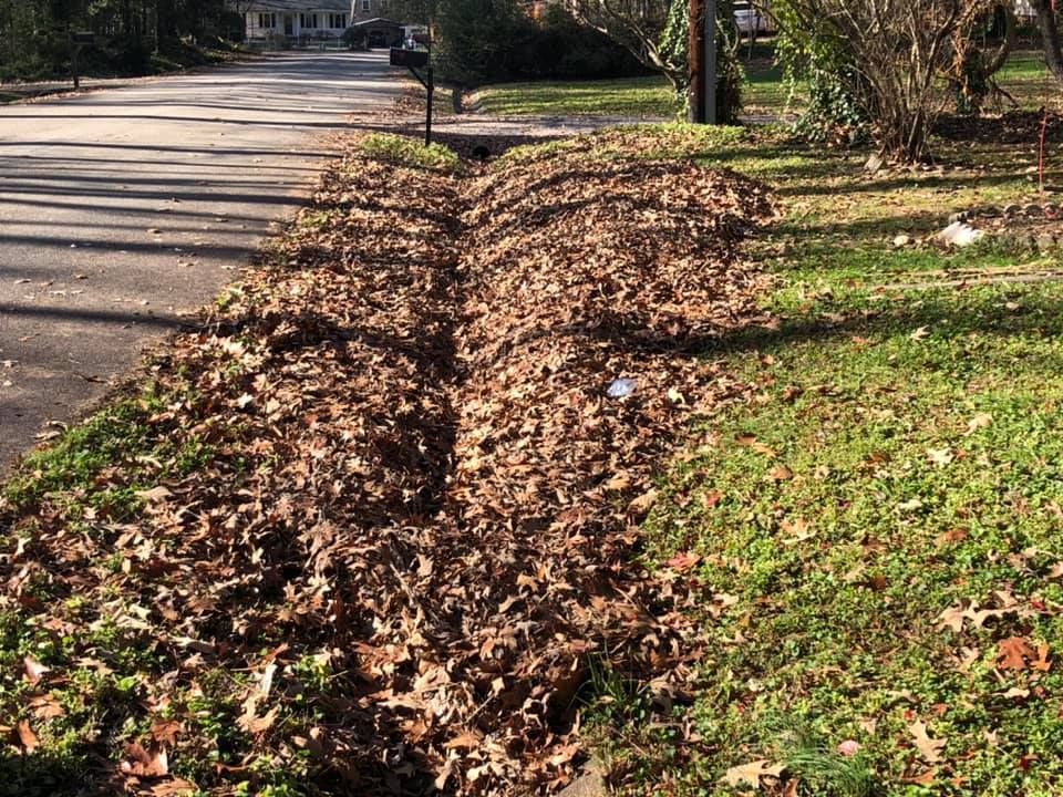 A pile of leaves on the side of a road next to a mailbox.