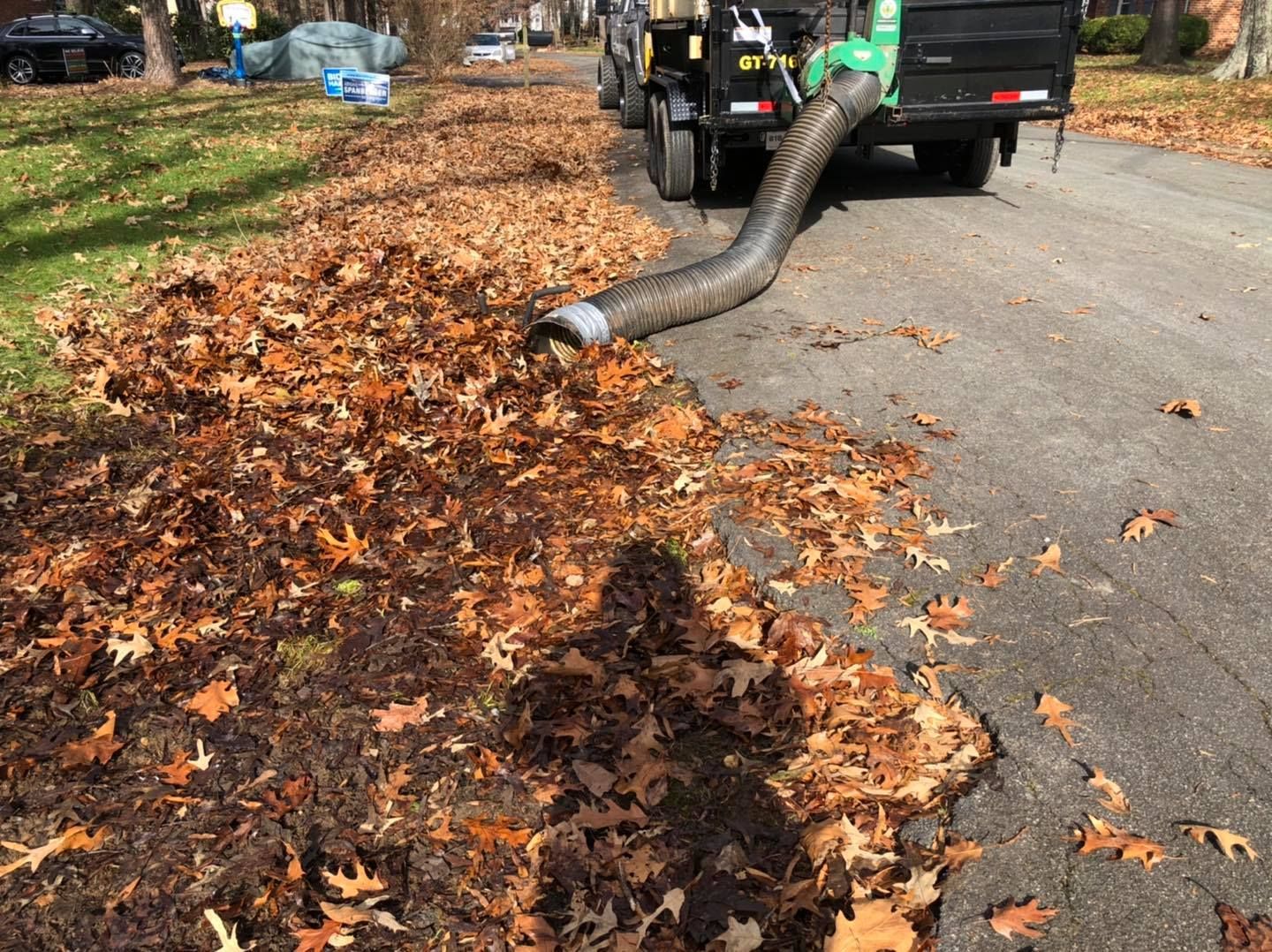 A vacuum truck is cleaning leaves from the side of the road.