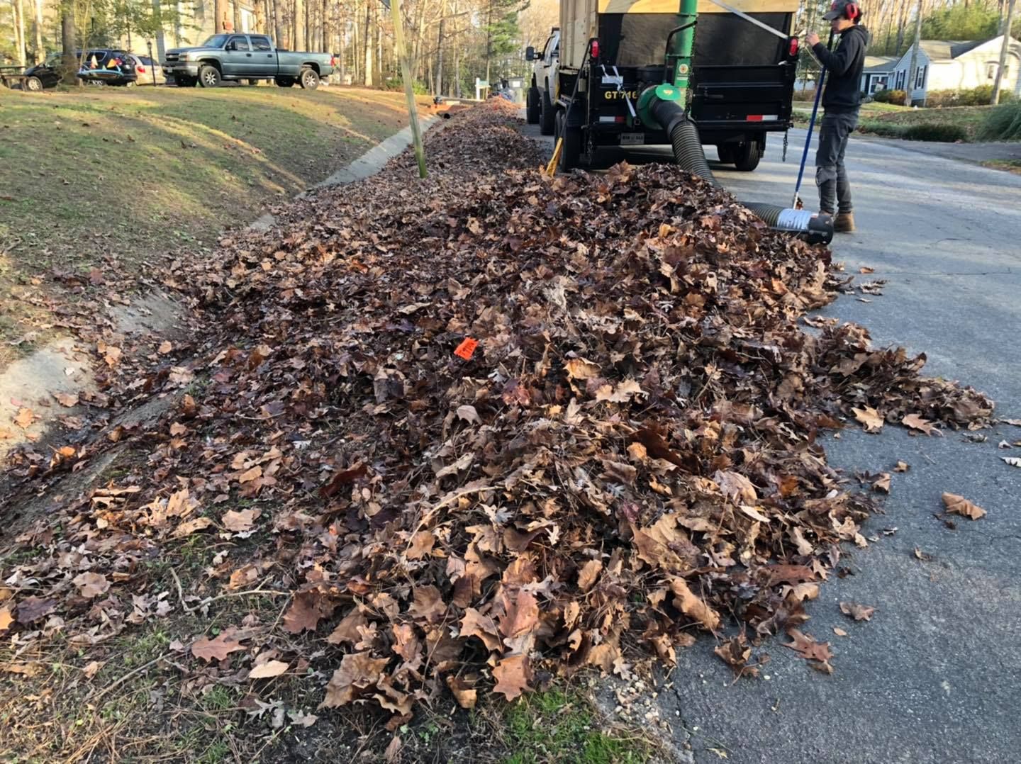 A man is standing next to a pile of leaves on the side of the road.