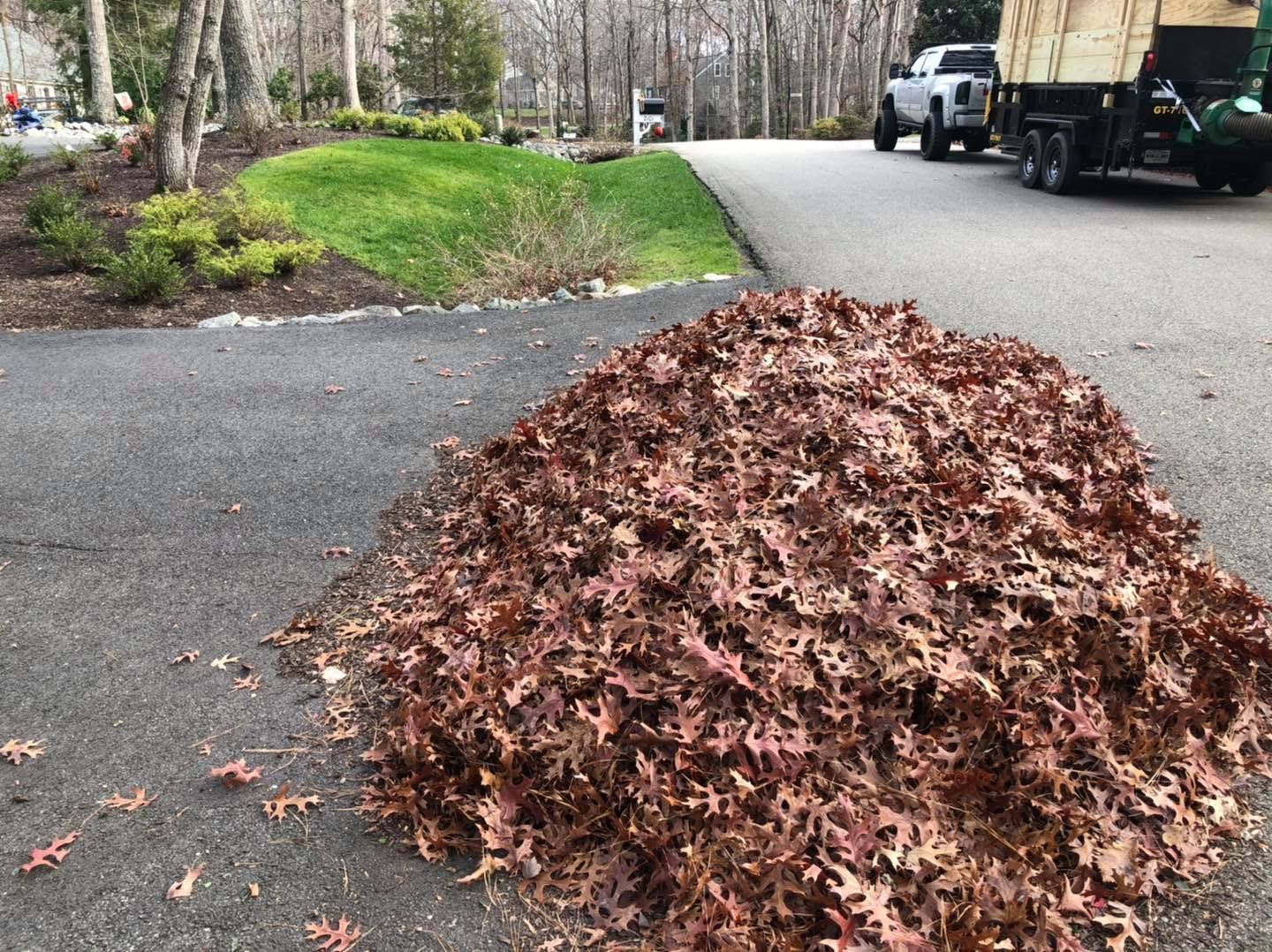 A pile of leaves is sitting on the side of the road next to a truck.