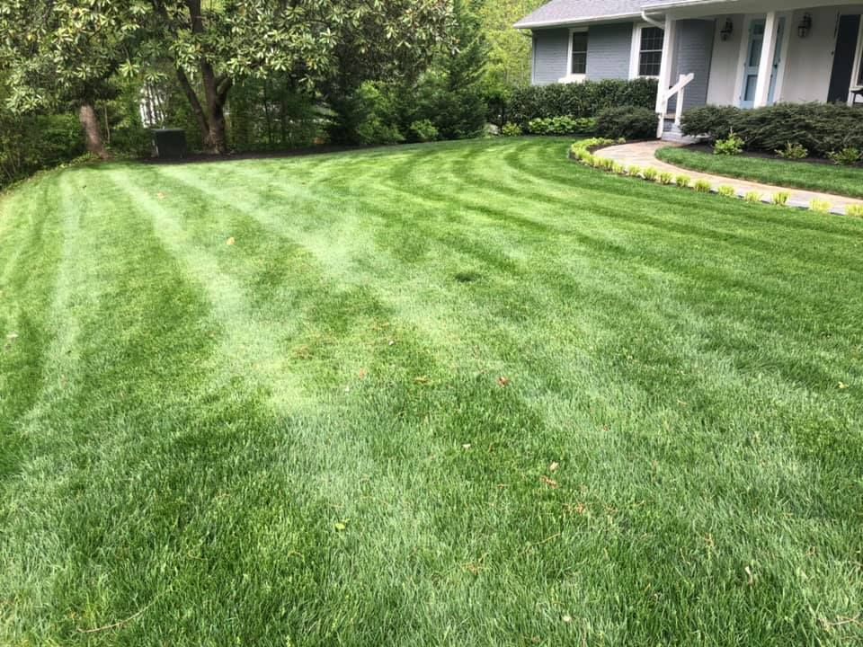 A lush green lawn in front of a house.
