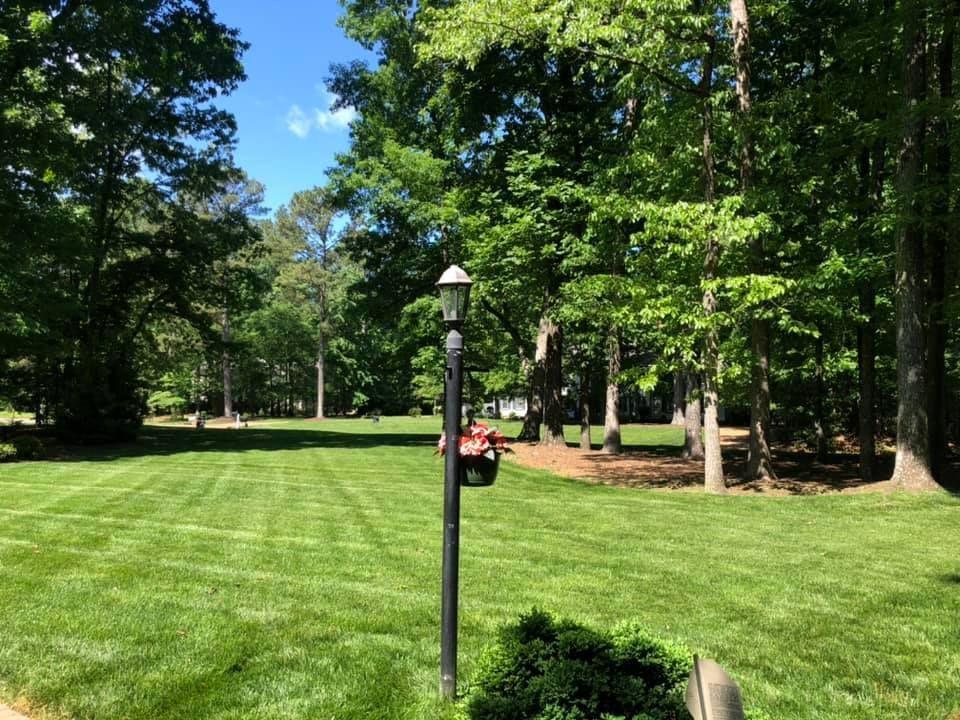 A lush green lawn with trees in the background and a lamp post in the foreground.