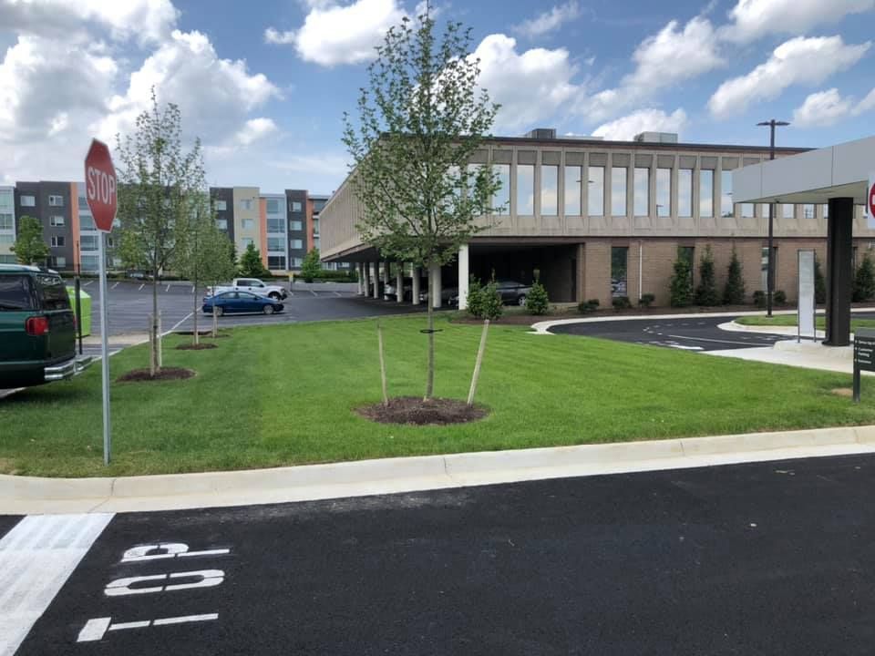A stop sign is in the middle of a parking lot