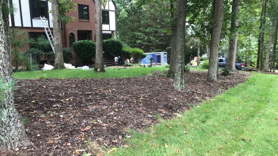 A lush green yard with trees and mulch in front of a house.