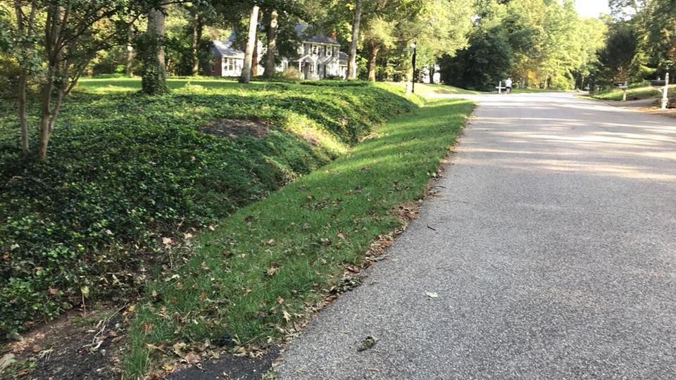A road with grass on the side of it and trees on the side of it.