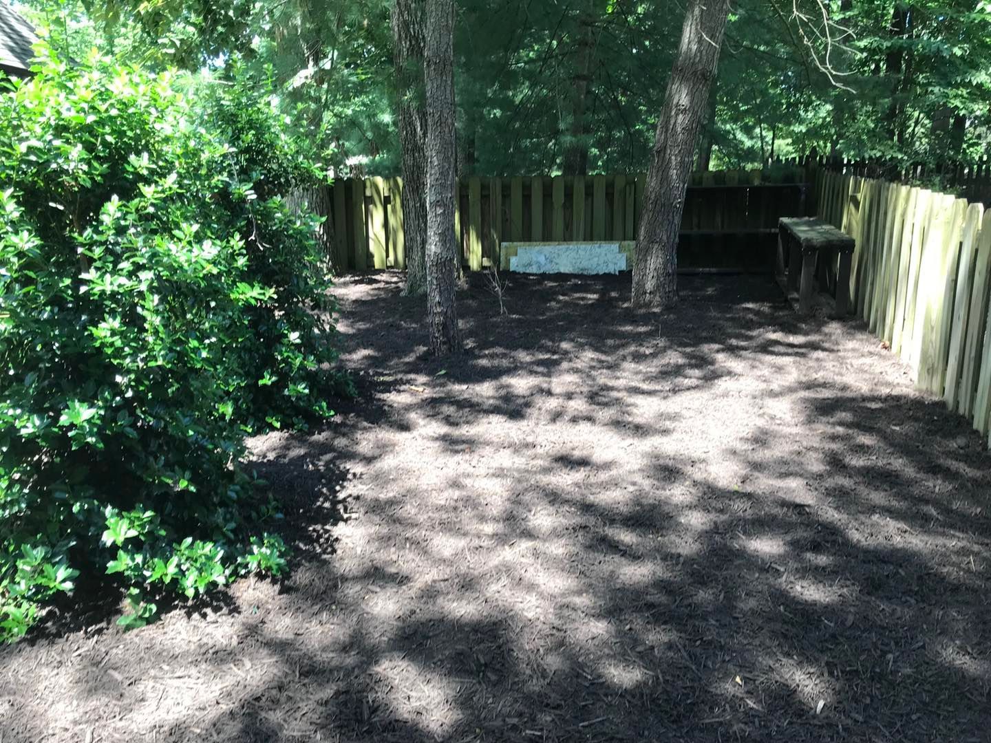 A backyard with a wooden fence and trees in the background.