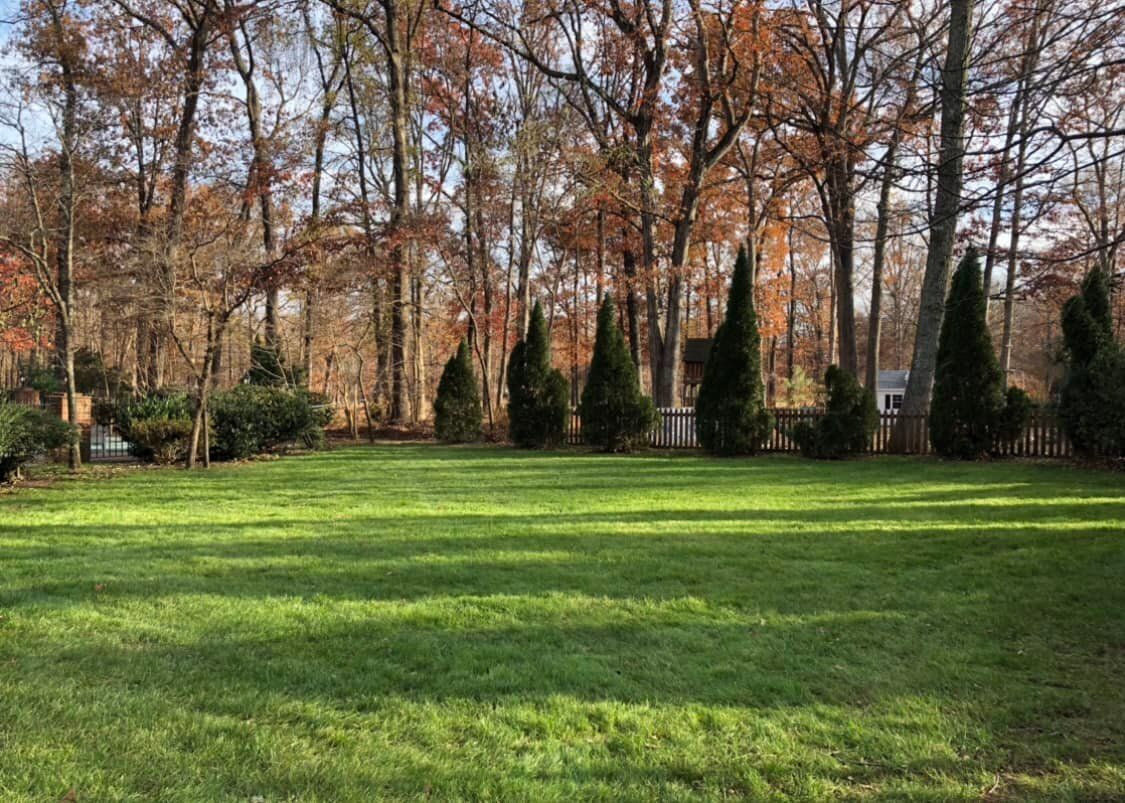 A large lush green field with trees in the background.