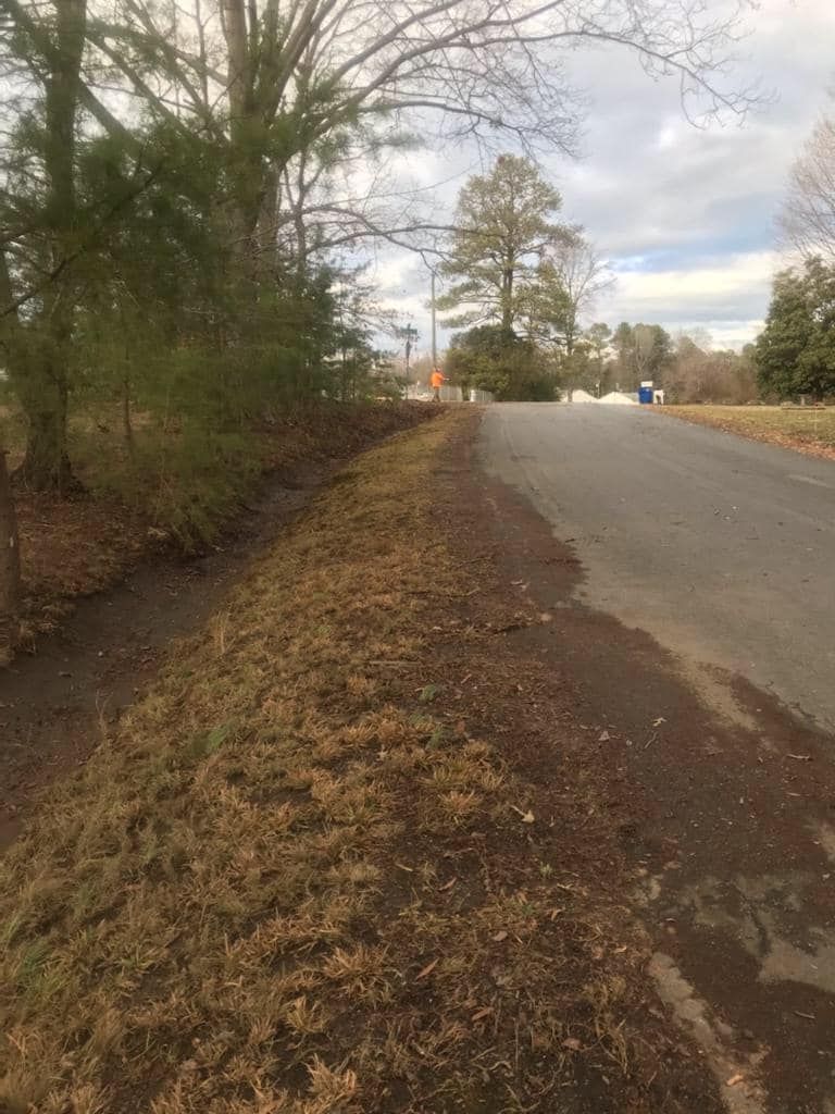 A road with trees on the side of it and grass on the side of it.