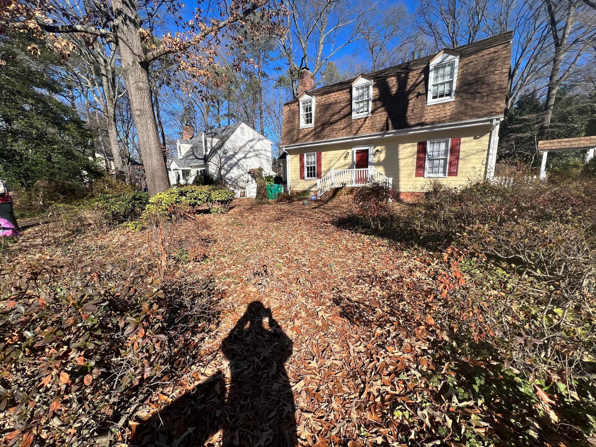 A person is taking a picture of a house in the woods.