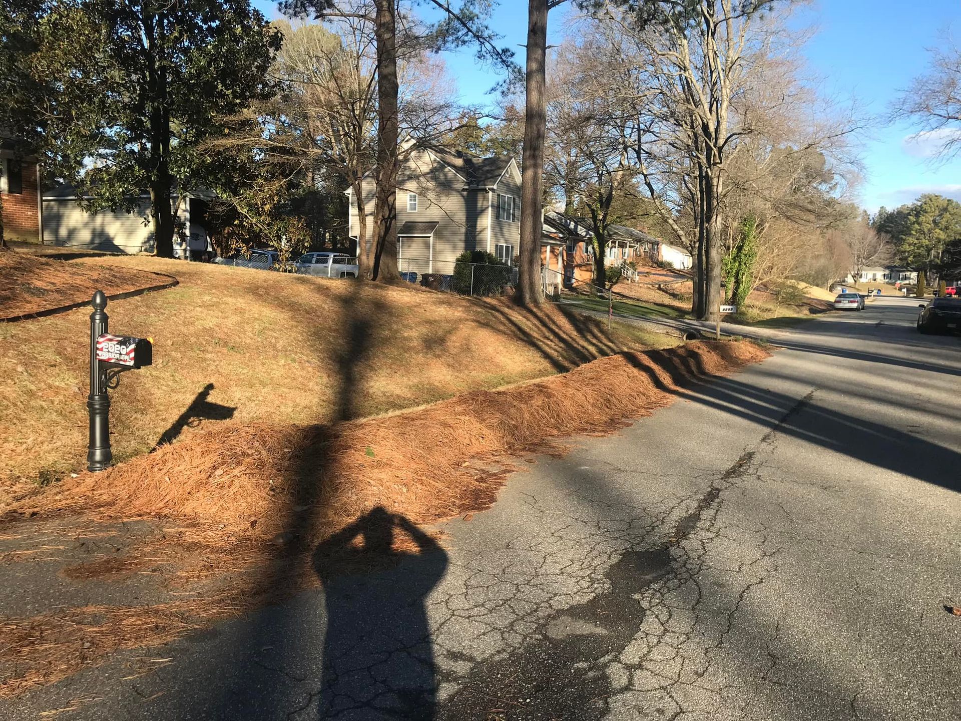 A person is taking a picture of their shadow on the side of the road.