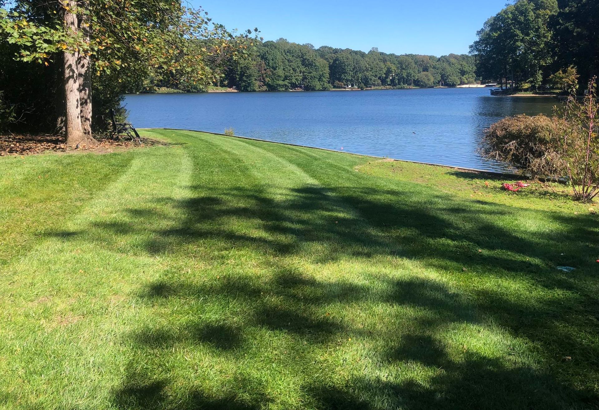 A lush green lawn with a lake in the background.