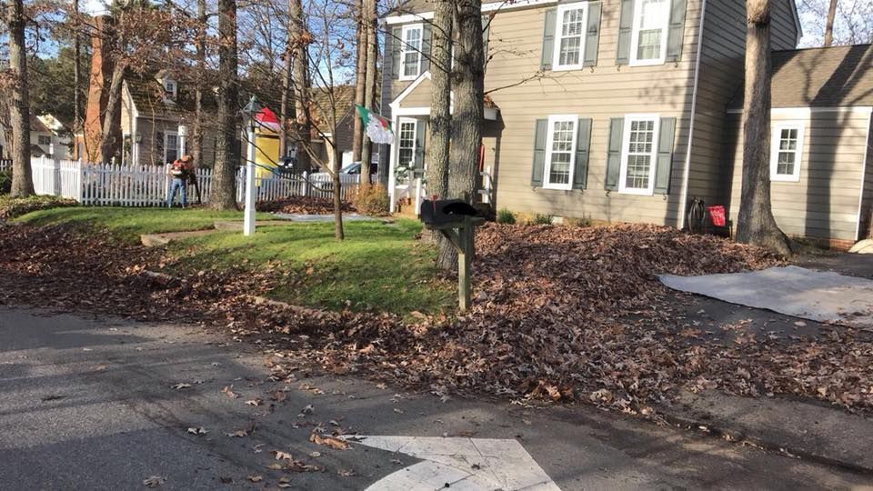 A mailbox is sitting on the side of the road in front of a house.