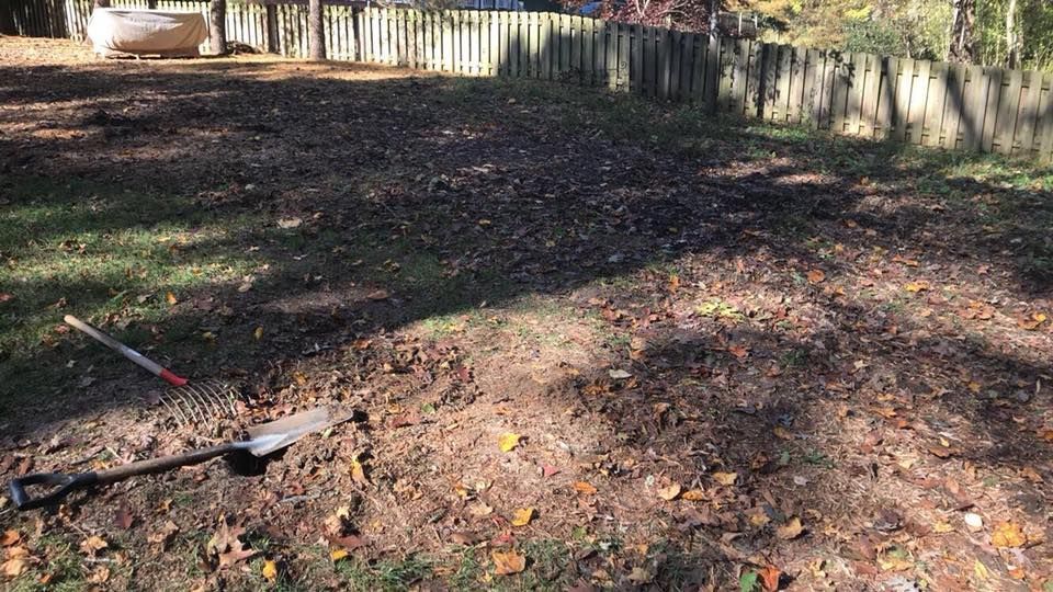 A shovel is sitting in the dirt in a yard.